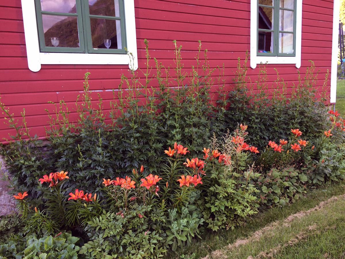 Overvoll Farm Stranda  Exterior photo